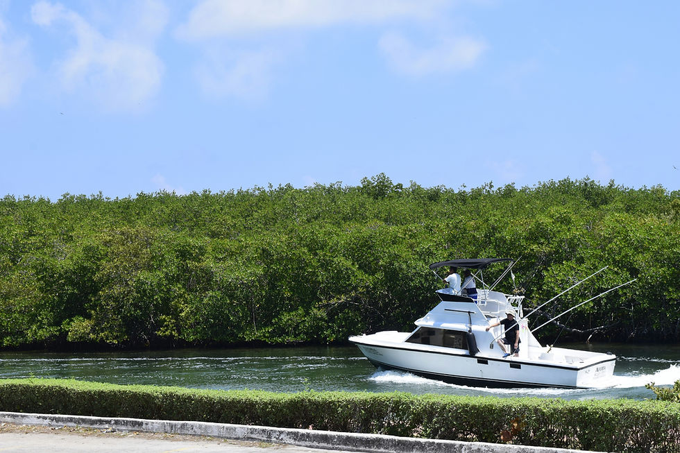 Charter Fishing