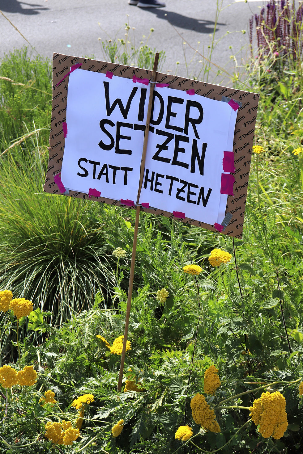 Politikversagen in Österreich