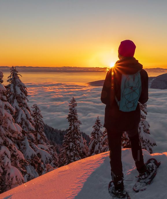 guide comparatif 2026, découvrez les 4 meilleures marques québécoises et canadiennes : Canyon, Yanes, White Mountain et Évolutive