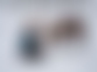 ragazzo sami con la sua renna in mezzo alla neve