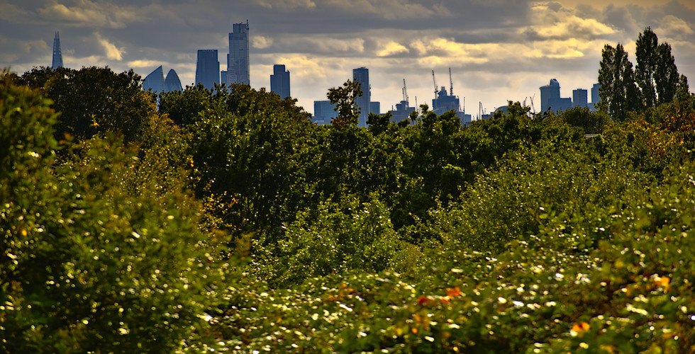 Walthamstow