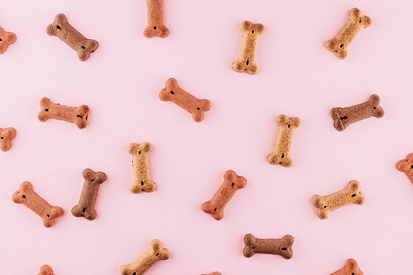 Hund, vegan, Leckerli, Glutenfrei, Vierbeiner, Freund, Futter, Nährstoffbedarf, Ergänzung, Hundekeks, Zutaten, online, Kochkurs