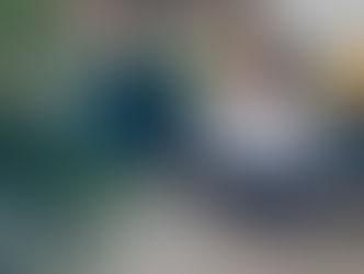 Why Changing Your Mindset Is the First Step to Breaking Old Patterns