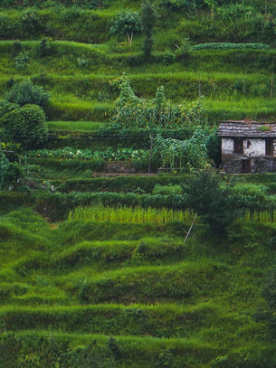 Ranikhet - Uttarakhand