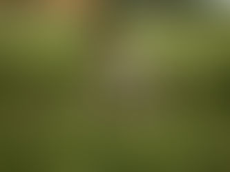 Sowing Smarter: Unlocking Agricultural Trade Credit for Kenyan Farmers with PentaPay