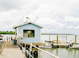 Image by Jake Johnson