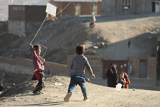 Image by Farid Ershad