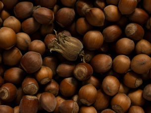 The 10-Second Habit That Rewires Your Entire Life