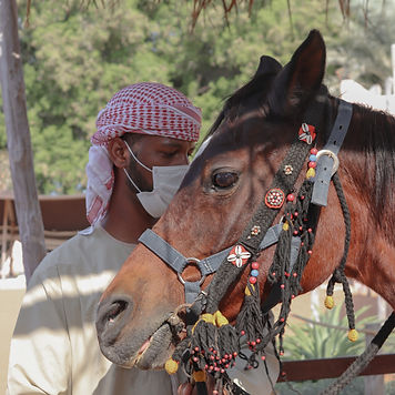 voyage dubai guide francophone