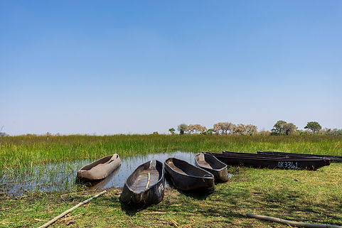 Image by Ajeet Panesar