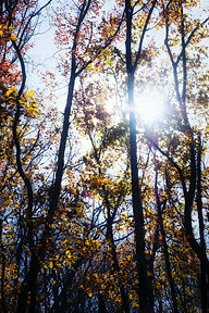 Image by Edurne Tx