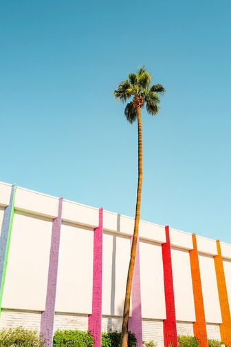 Image by Taylor Simpson