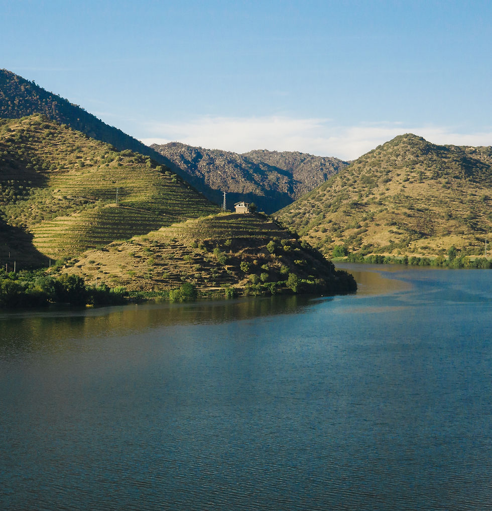 Vallee du Douro - Voyage a Porto Blog - pic by thedourogirl