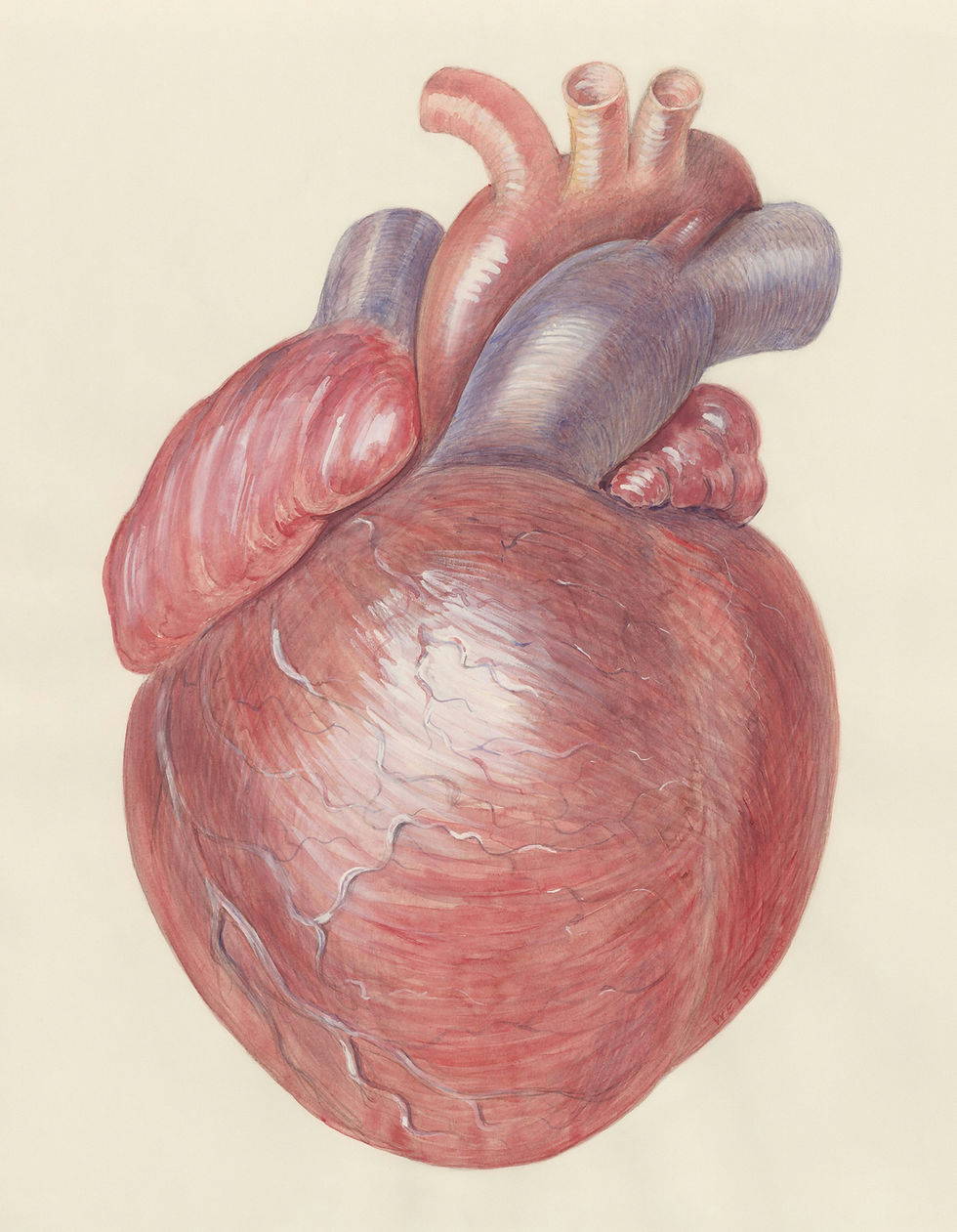 Image by Europeana