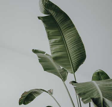 Image by Mimipic Photography