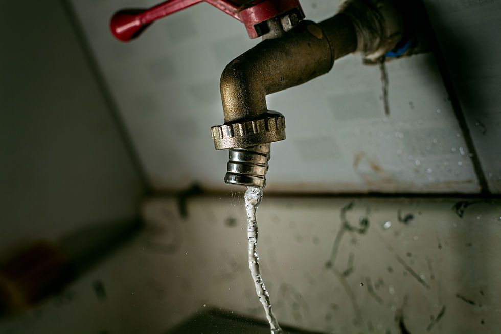 White Glove Plumbing & Restoration water leak fix