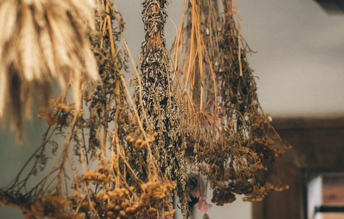 Image by Zuzana Kacerová