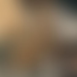 Dried herbs hang from a wooden ceiling in a rustic room. Earthy tones and soft lighting create a cozy, vintage atmosphere.