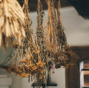 Dried herbs hang from a wooden ceiling in a rustic room. Earthy tones and soft lighting create a cozy, vintage atmosphere.