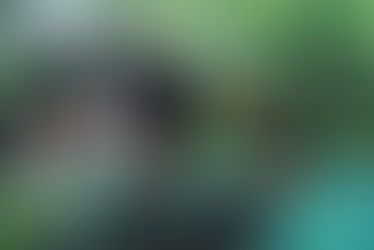 Welke effect heeft regenwater op uw zwembad?