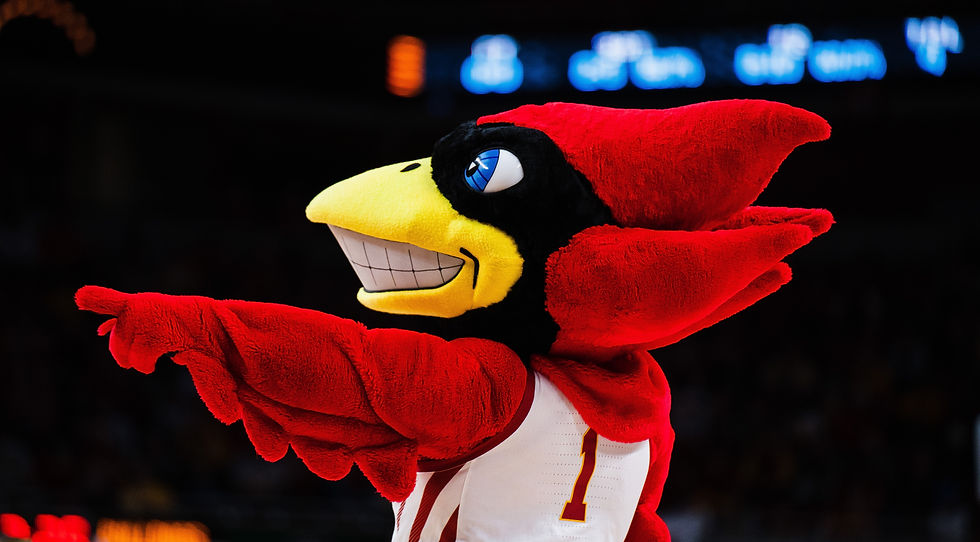 Mascot Costumes
