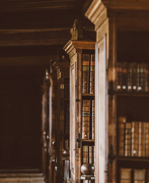 Image by Annie Spratt