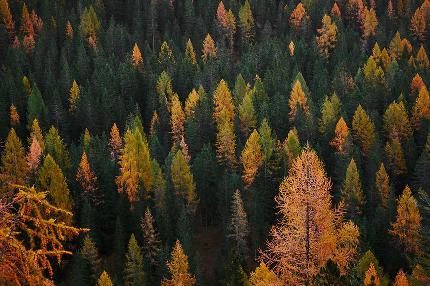 Image by Luca Bravo