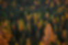 Image de Luca Bravo