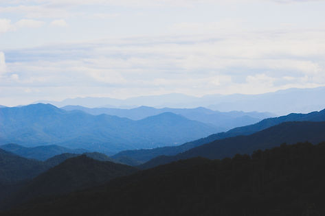 Image by Micah Williams