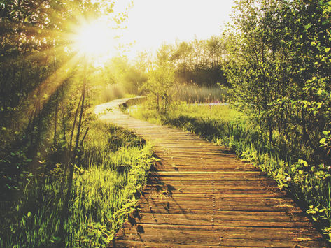 23rd Sunday in Ordinary Time (Ages 6-9): Problem Solving