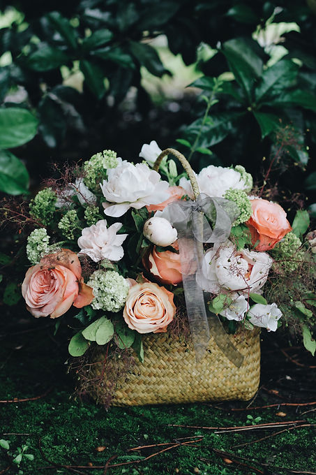 Image by Lizzie