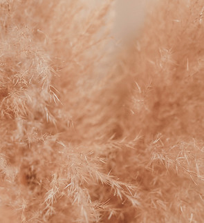 Image by Liana Mikah
