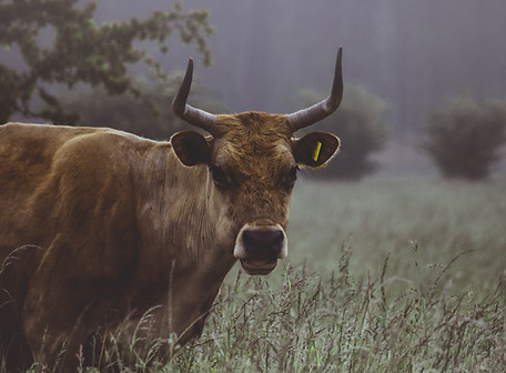 Image by Karsten Würth
