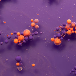 Drawing and Mixed Media