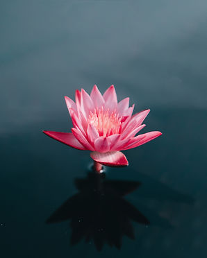 Image by Saffu