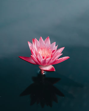Image by Saffu
