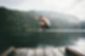 Image by Andrew Ly