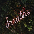 a neon sign saying breath, image by Tim Goedhart