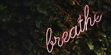 Image by Tim Goedhart