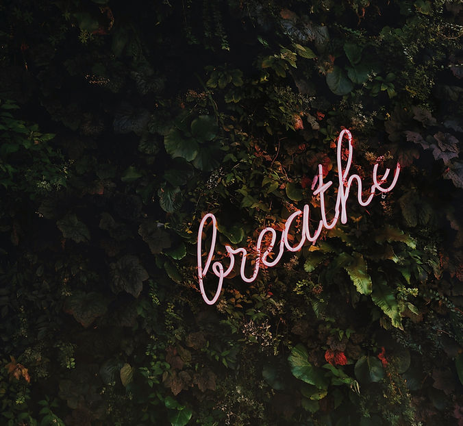 Image by Tim Goedhart