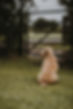 Image by Annie Spratt