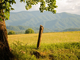 A view from outside the handmade fence of farmland in Tennessee with a view of the mountains in the distance