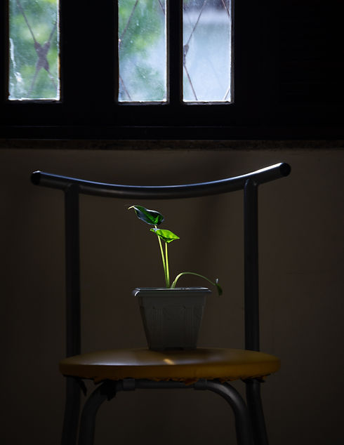 Image by Bruno Oliveira