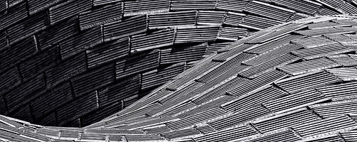 Image by Ricardo Gomez Angel