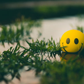 Intrinsic Motivation: the right way to learn
