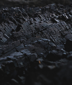 Image by Dexter Fernandes
