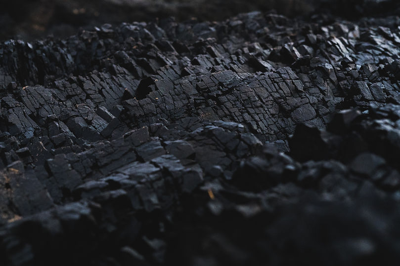 Image by Dexter Fernandes