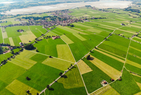 PROJEKT USTAWY O DZIERŻAWIE ROLNICZEJ