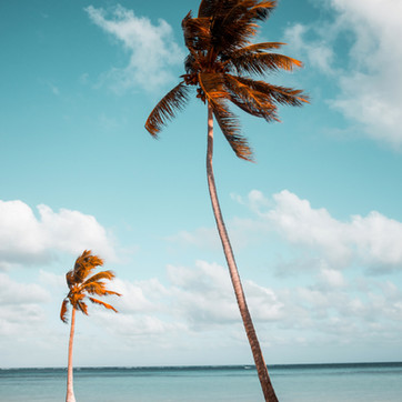 Image by Benjamin Voros