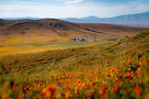 Image by Steve Wiesner